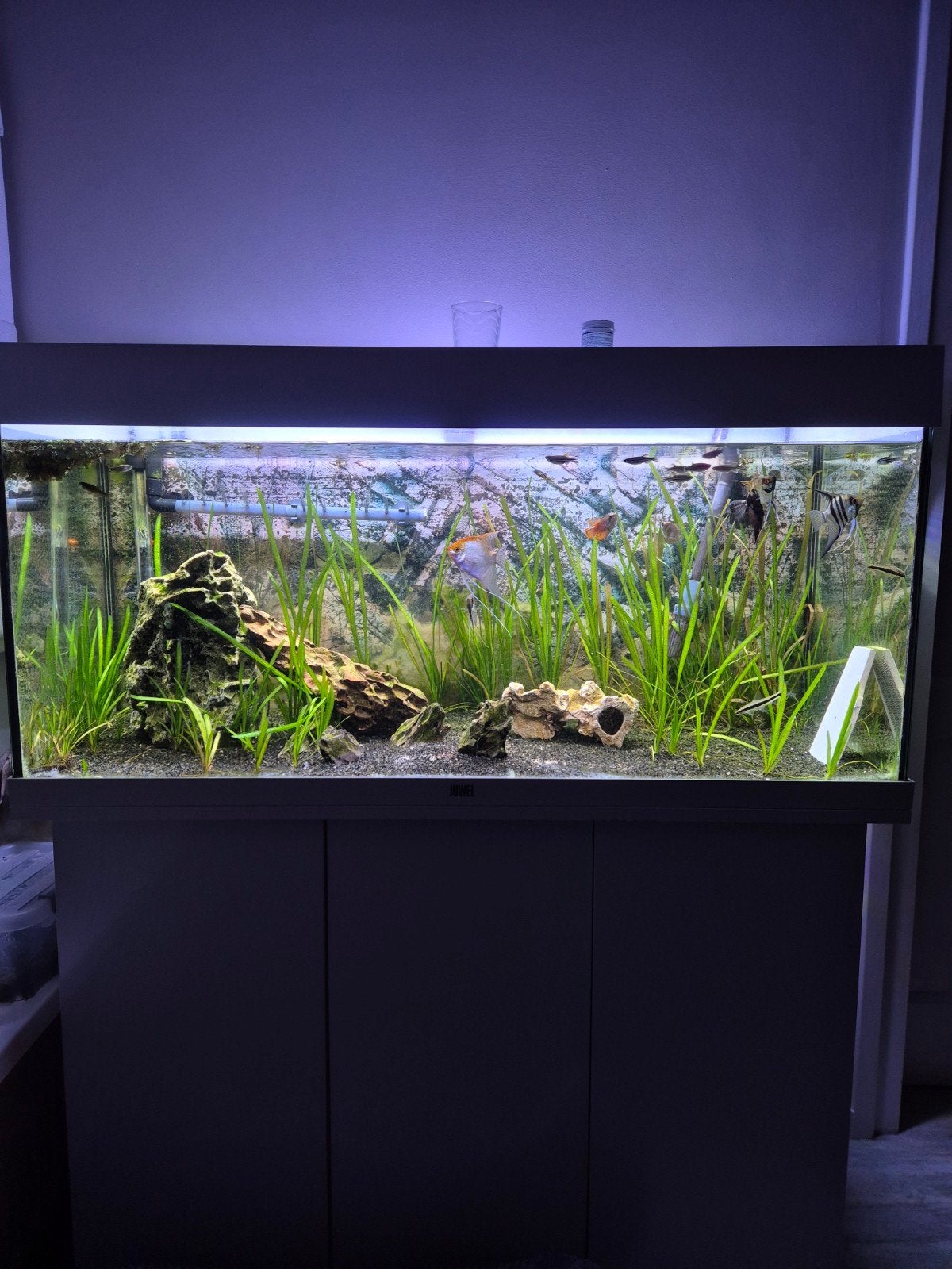 Juwel Aquarium + onderkast, Ophalen, Zo goed als nieuw, Leeg aquarium