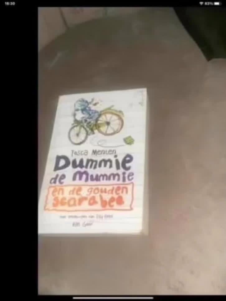 dummie de mummie, Verzenden, Zo goed als nieuw, Fictie algemeen