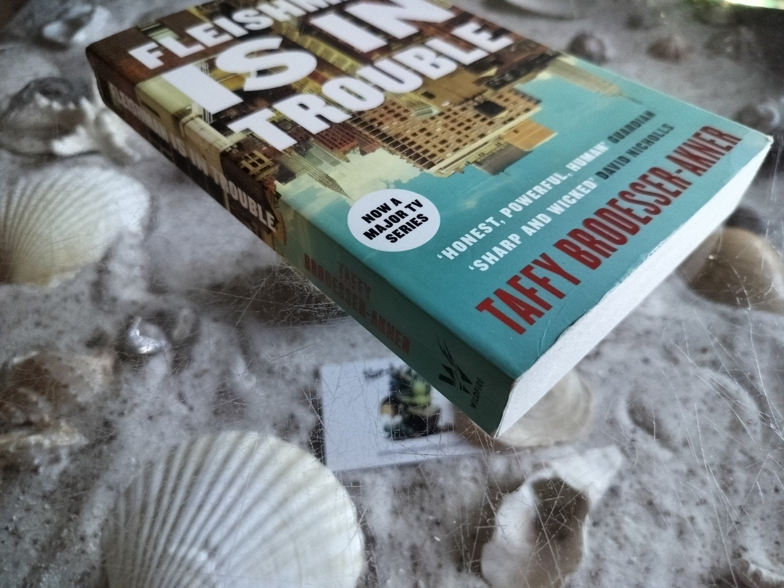 Taffy Brodesser-Akner - Fleishman is in trouble - English, Ophalen of Verzenden, Gelezen