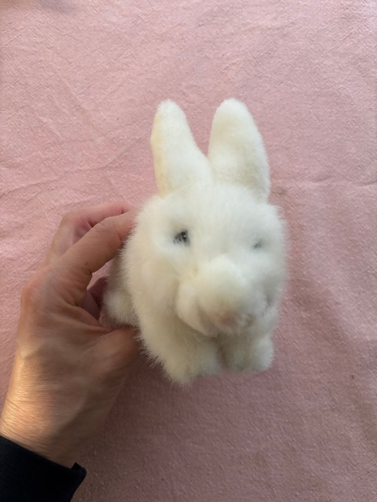 Russ berrie oakland konijn wit knuffeltje knuffel haasje!, Overige karakters, Konijn, Ophalen of Verzenden, Zo goed als nieuw