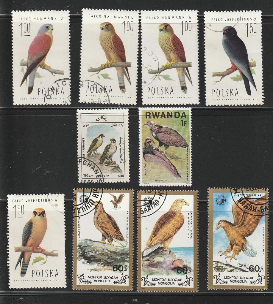 Roofvogels Kavel nr. 7, Verzenden, Gestempeld, Dier of Natuur