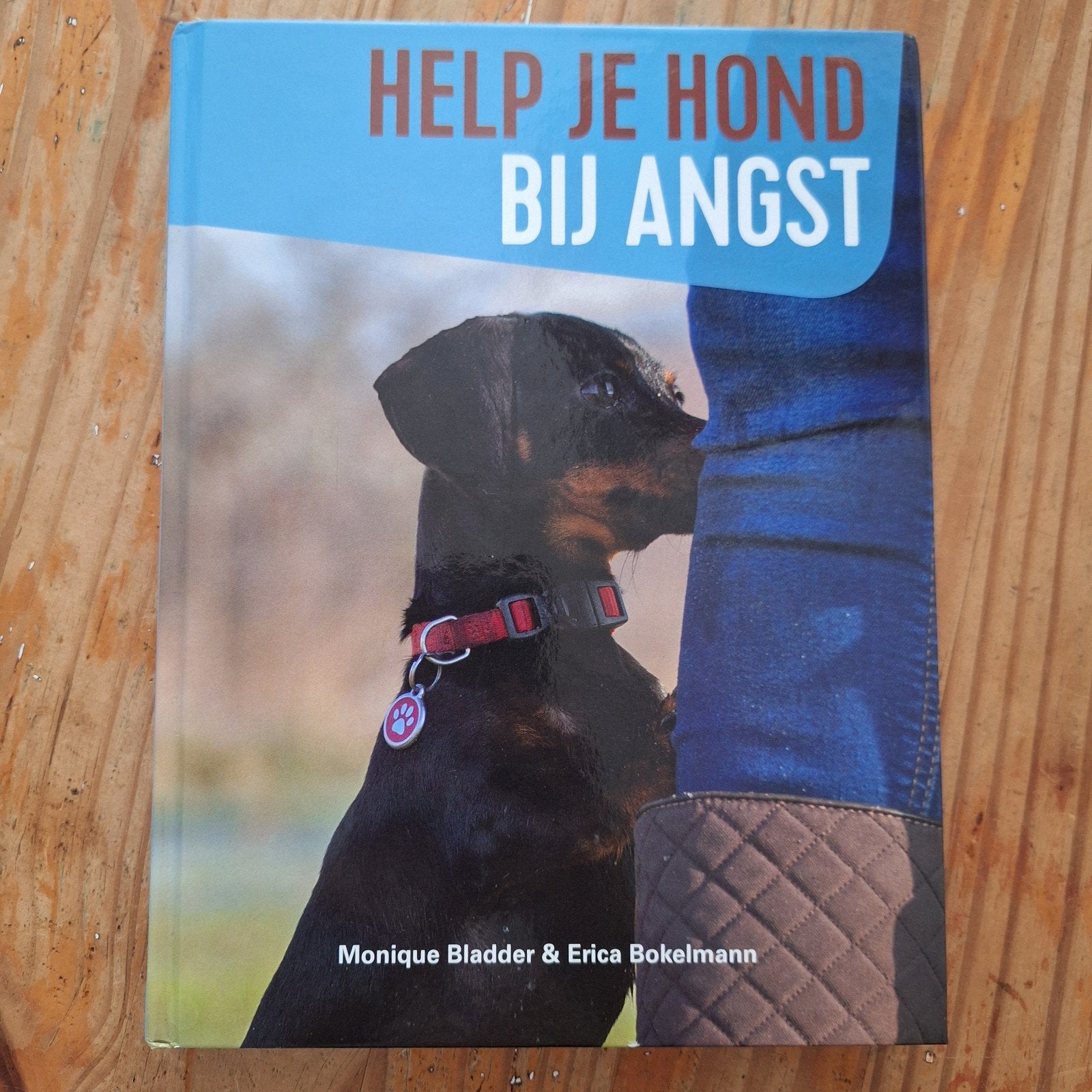 Monique Bladder - Help je hond bij angst, Boeken, Monique Bladder; Erica Bokelmann, Verzenden, Honden, Zo goed als nieuw