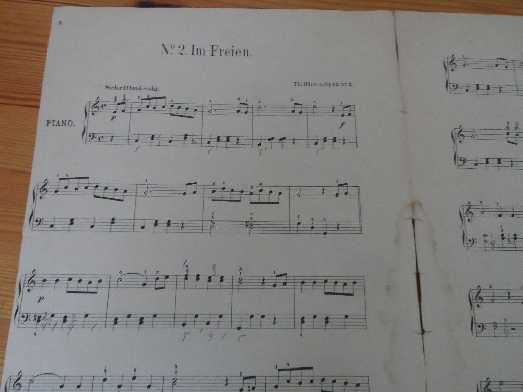 Im freien - th. Hirsch, Gebruikt, Ophalen of Verzenden, Artiest of Componist, Piano