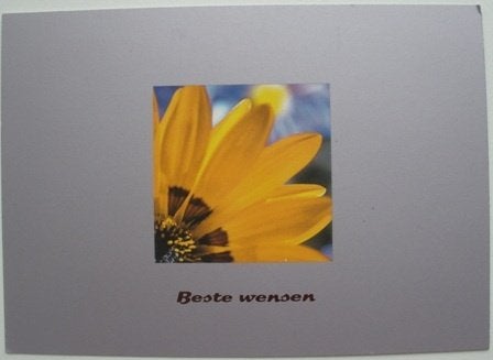 Oude kaart met een stukje van en zonnebloem, Ophalen of Verzenden, 1980 tot heden, Ongelopen, Overige thema's