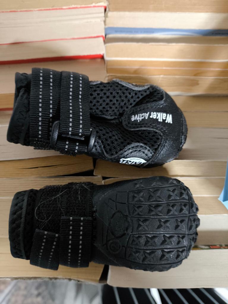 Hondenschoenen zgan, Ophalen of Verzenden