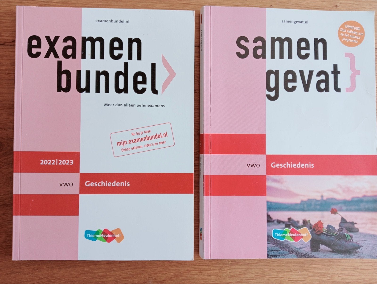 VWO Examen bundels + Samengevat  diverse vakken, Boeken, Schoolboeken, Ophalen, Zo goed als nieuw, VWO