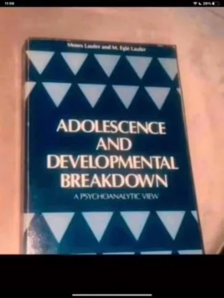 Adolescence and Developmental Breakdown:APsychoanalytic View, Gelezen, Moses Laufer and M. Egle Laufer, Ophalen of Verzenden, WO