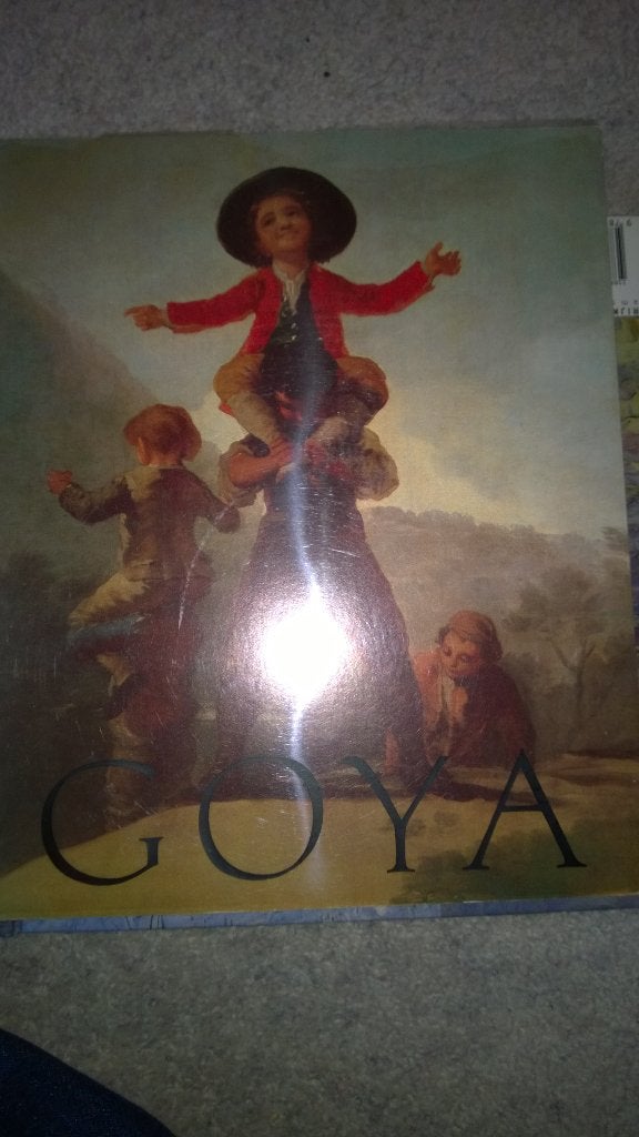 Boek - 350 - Goya, Ophalen of Verzenden, Zo goed als nieuw