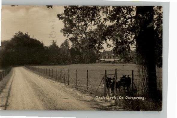 Oosterbeek De Oorsprong FOTOKAART st 1931, Verzenden, 1920 tot 1940, Gelopen, Gelderland