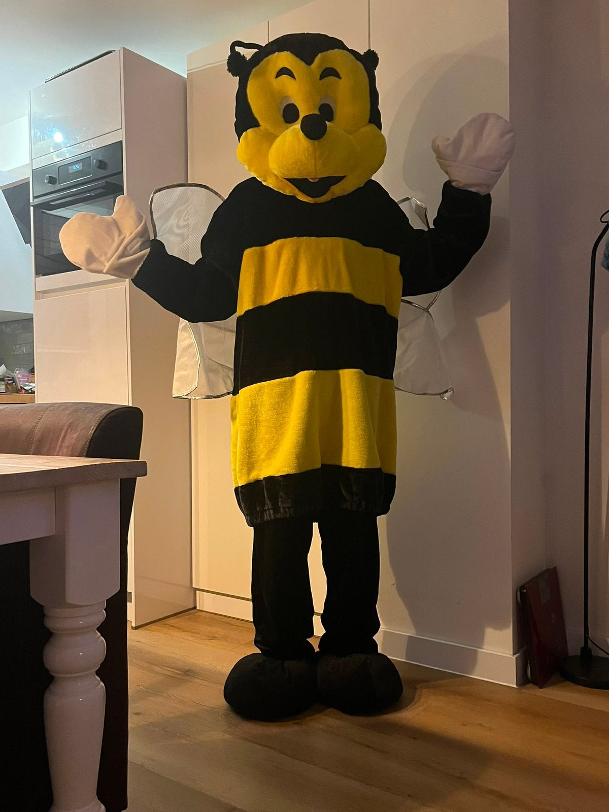Mascotte pak Bij, Ophalen of Verzenden, Zo goed als nieuw, Carnaval