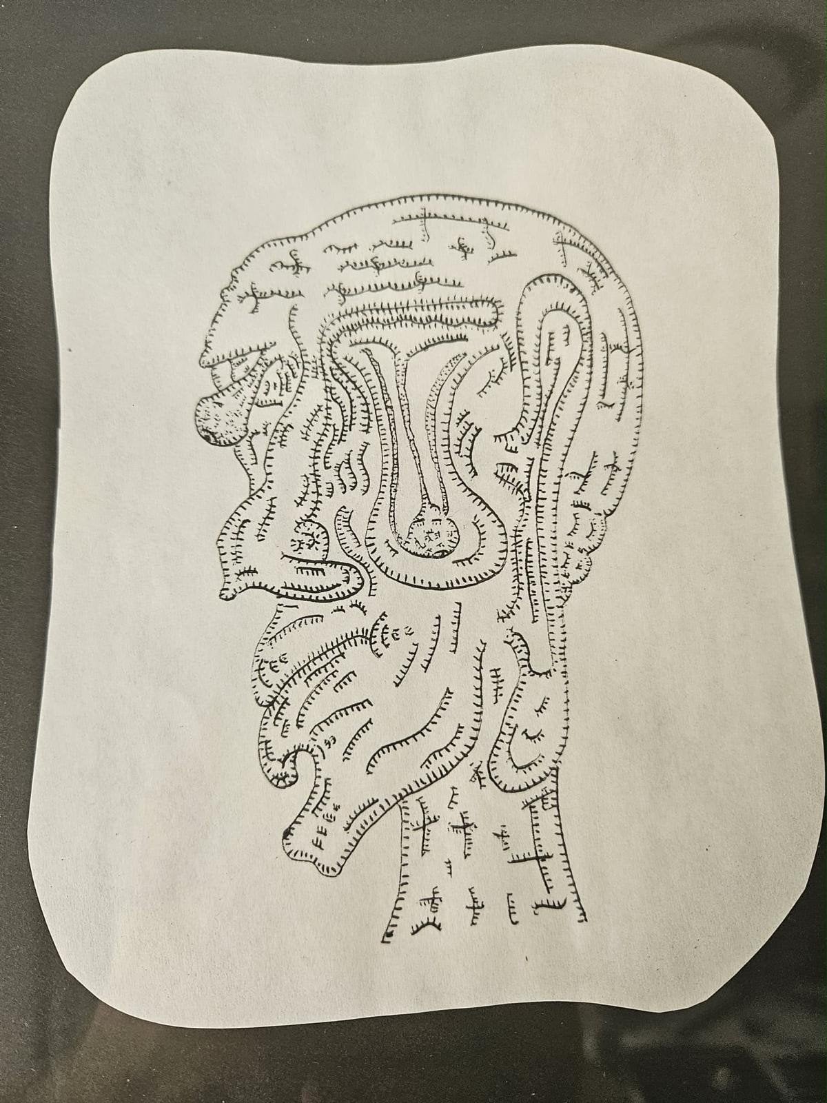 Abstracte Pen Tekening - Hoofdprofiel, Antiek en Kunst, Ophalen, Tekening, Pentekening, Origineel