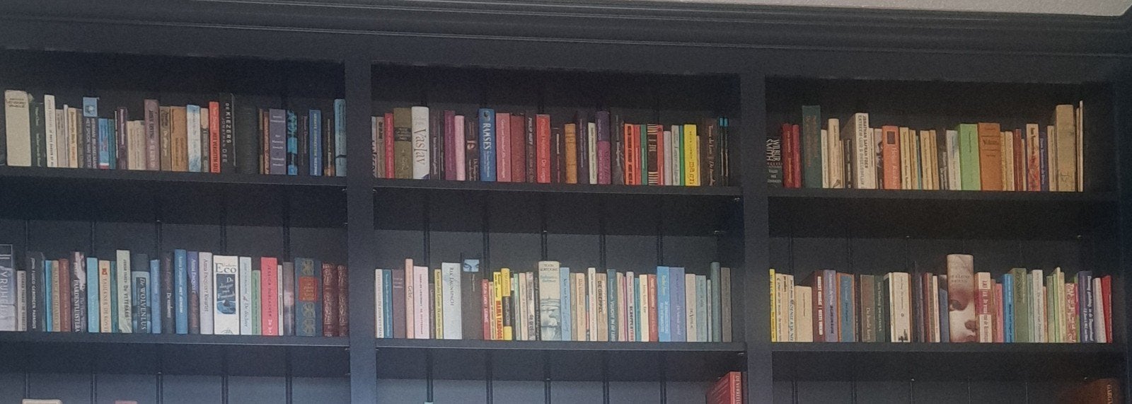 Boeken! Van alles wat!, Boeken, Literatuur, Ophalen, Gelezen