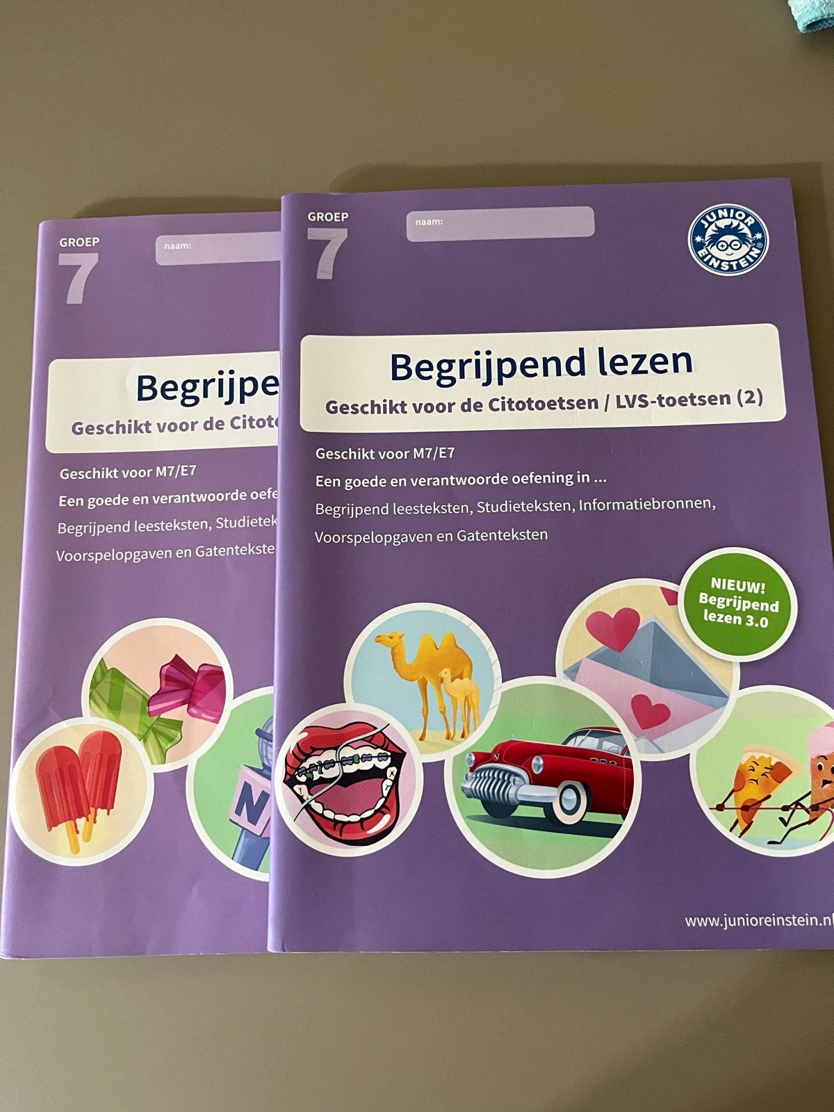 Begrijpend Lezen Groep 7 - Junior Einstein (2 boeken), Ophalen, Alpha, Zo goed als nieuw, LBO