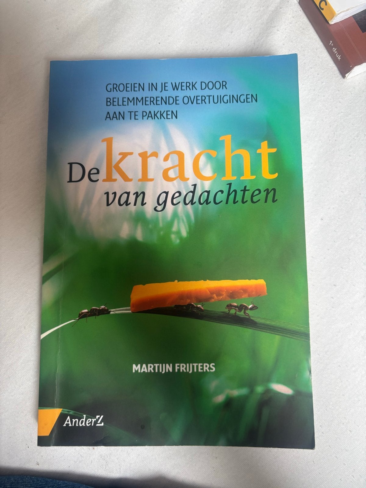 De Kracht van Gedachten - Martijn Frijters, Ophalen of Verzenden, Alpha, Zo goed als nieuw, HBO