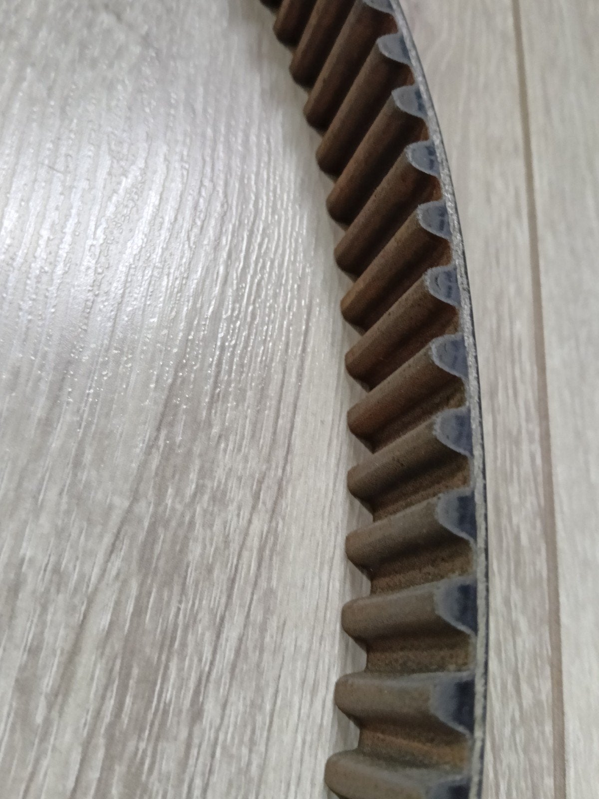 buell belt, Ophalen of Verzenden