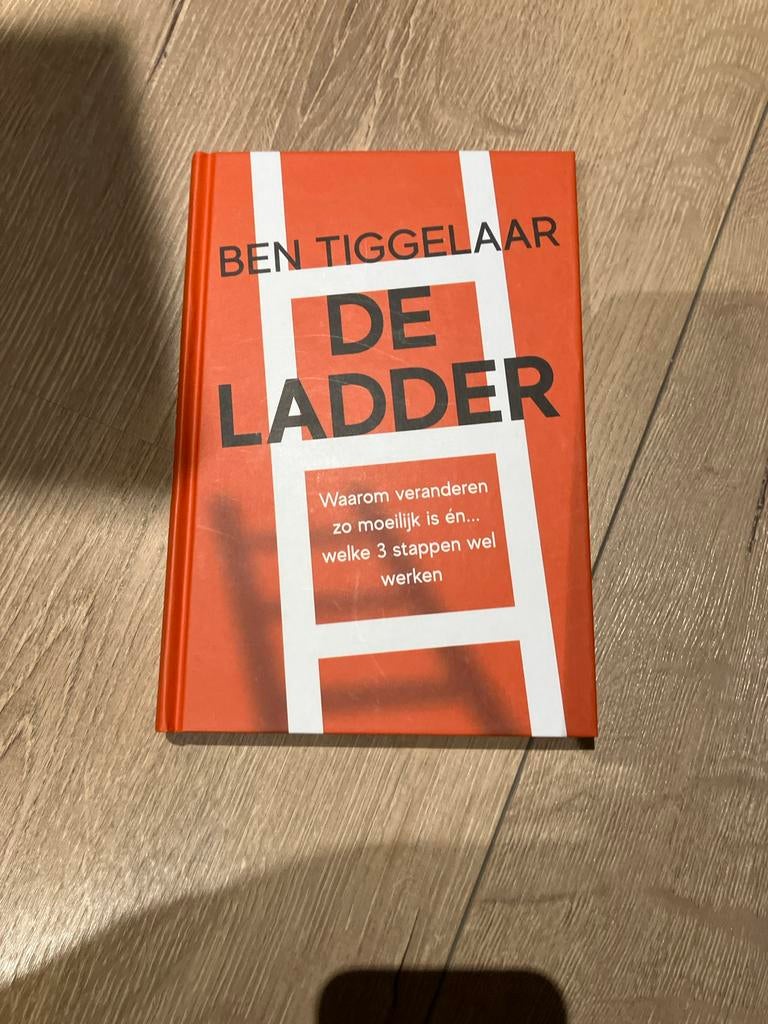 De Ladder - Ben Tiggelaar (Zo goed als nieuw), Ophalen of Verzenden, Zo goed als nieuw