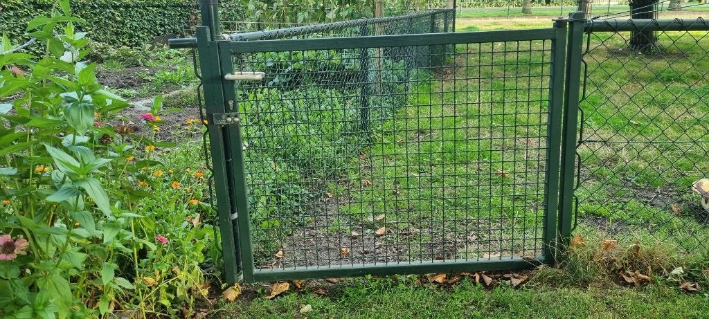 Groen Tuinhek met Poort - Gebruikt, Ophalen, Met poort, Gebruikt, Tuinhek