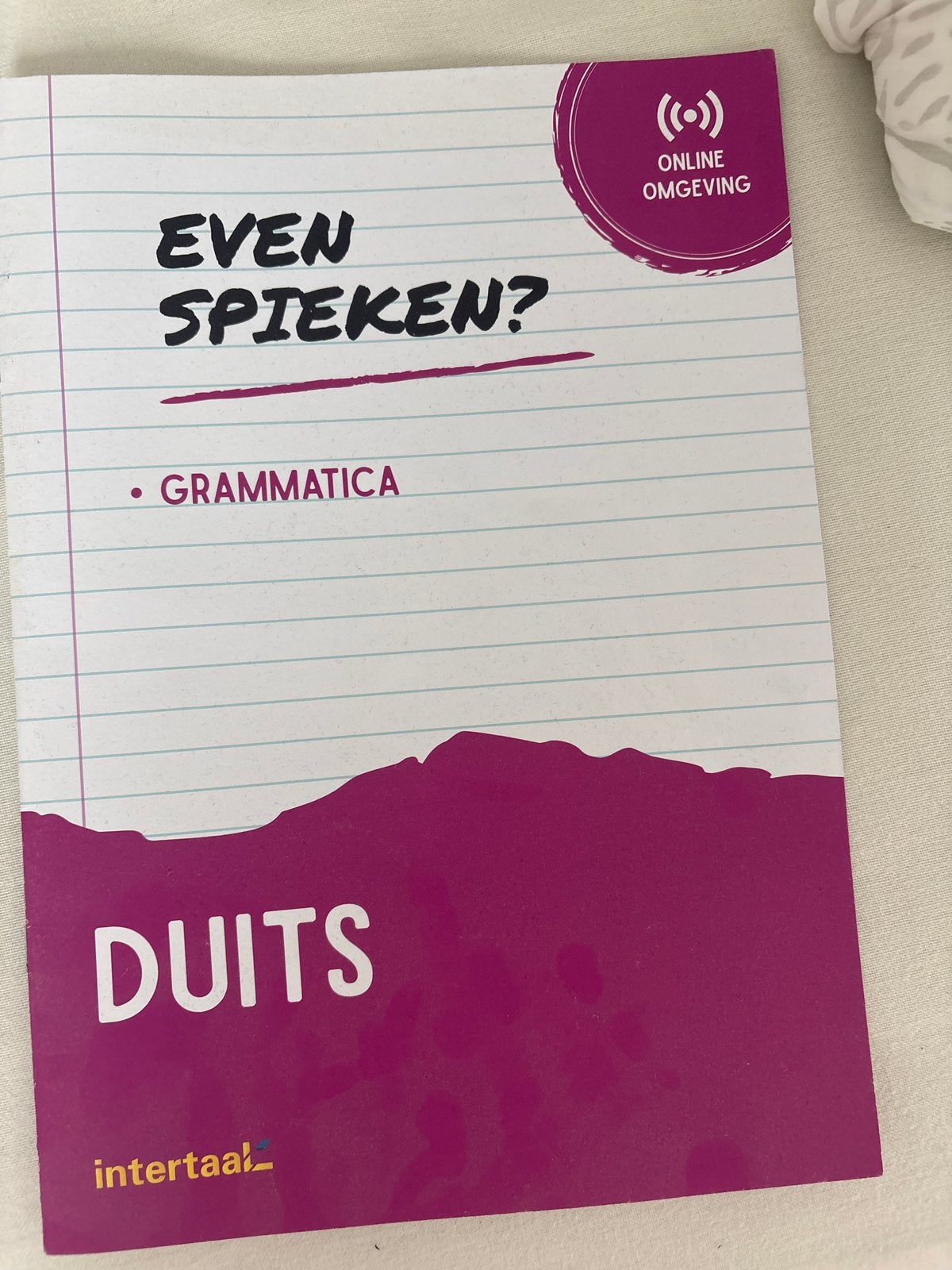 Even Spieken? Grammatica Duits - Intertaal, Ophalen of Verzenden, Zo goed als nieuw, Non-fictie