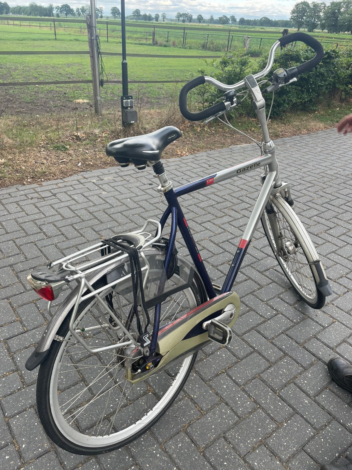 Gazelle chamonix, Ophalen, Zo goed als nieuw, Gazelle