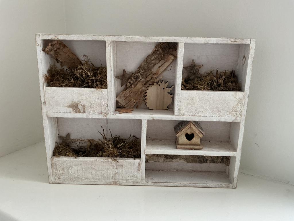 Mini kastje voor plantjes of decoratie, Ophalen of Verzenden, Gebruikt