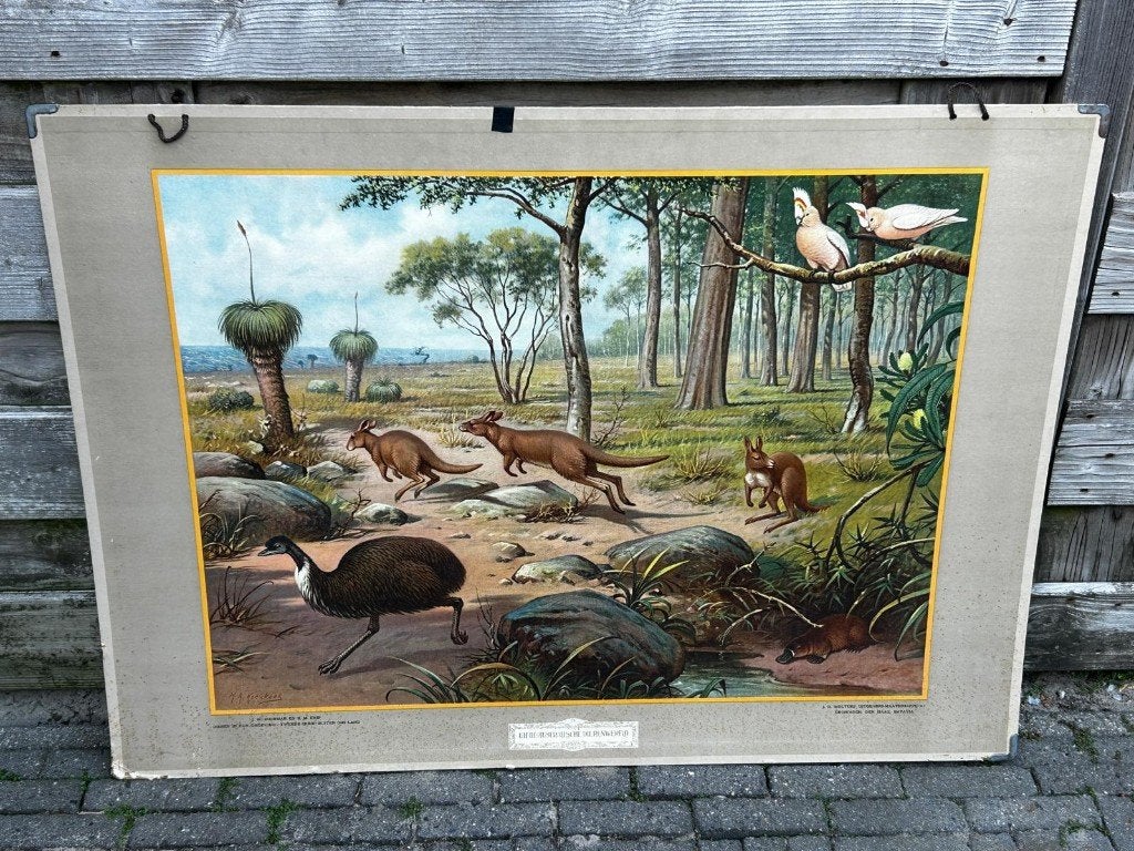 In de Australische dierenwereld, Ophalen of Verzenden, Natuur en Biologie