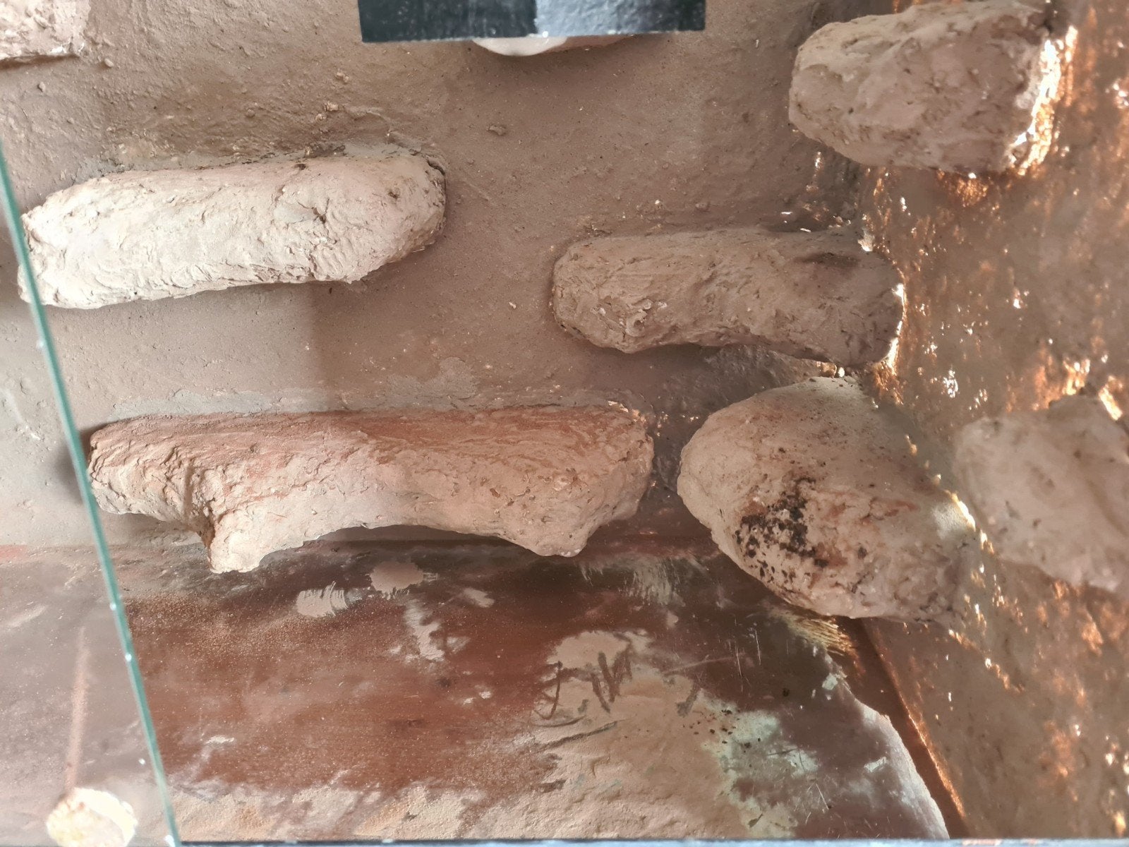 Terrarium  nog goed voor 2de ronde, Dieren en Toebehoren, Reptielen en Amfibieën | Toebehoren, Ophalen, Gebruikt