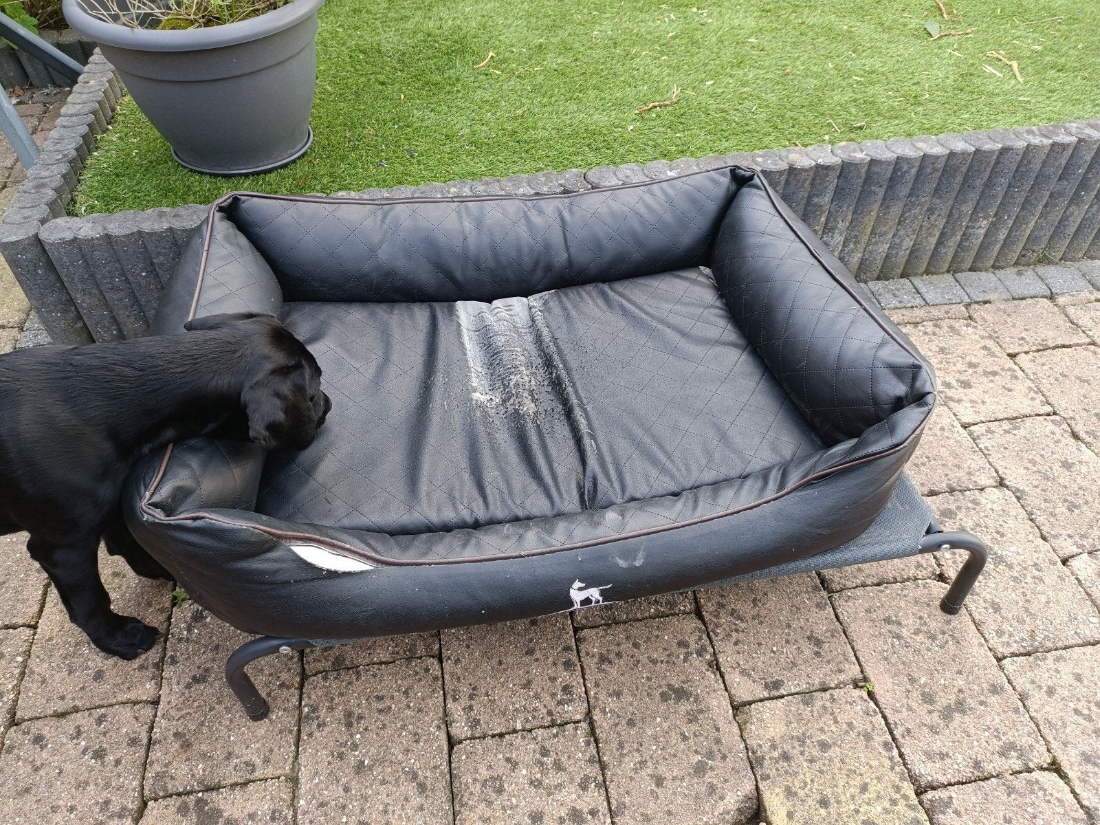 Knuffelwuf leren hondenmand, Ophalen, Gebruikt, Leer