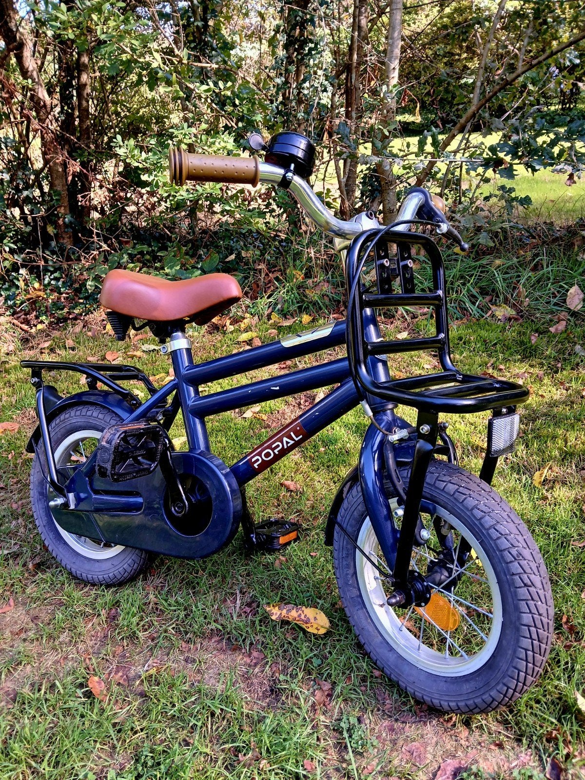 12 inch kinderfiets, Ophalen, Terugtraprem, Popal, Minder dan 16 inch