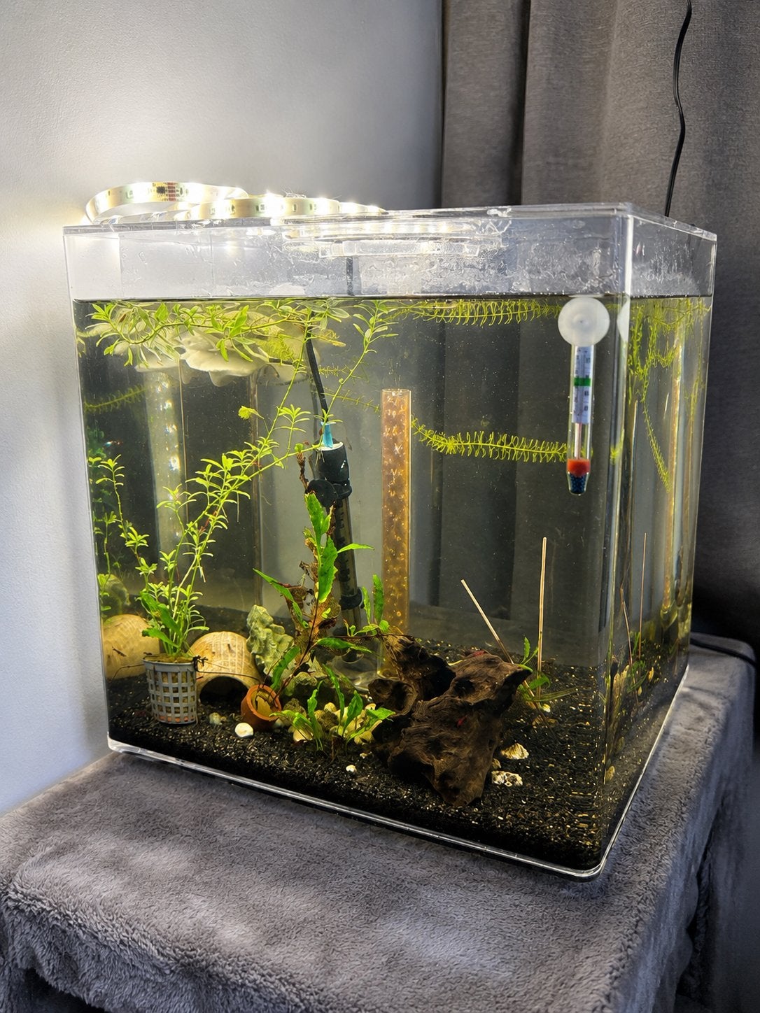 BiOrb Cube 60 liter + veel accessoires + garnalen, Ophalen, Gebruikt, Overige merken, Gevuld zoetwateraquarium