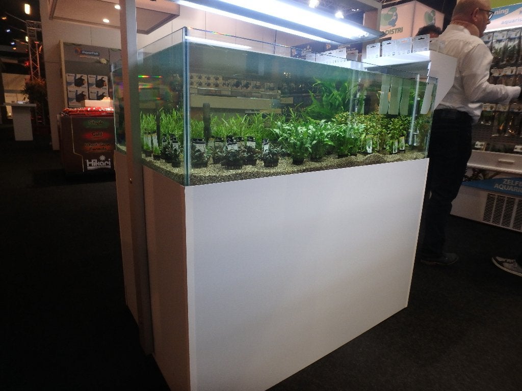 Planten verkoop aquarium, Ophalen, Nieuw, Overige typen, Overige merken