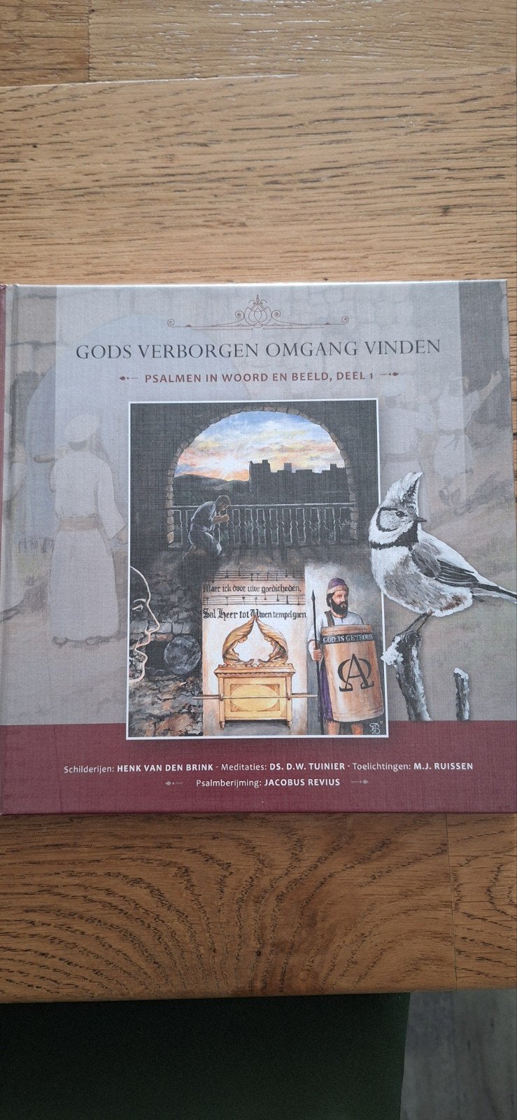 Gods Verborgen Omgang Vinden - Psalmen in Woord en Beeld, Ophalen of Verzenden, Nieuw, Henk van den Brink, D.W. Tuinier, M.J. Ruissen