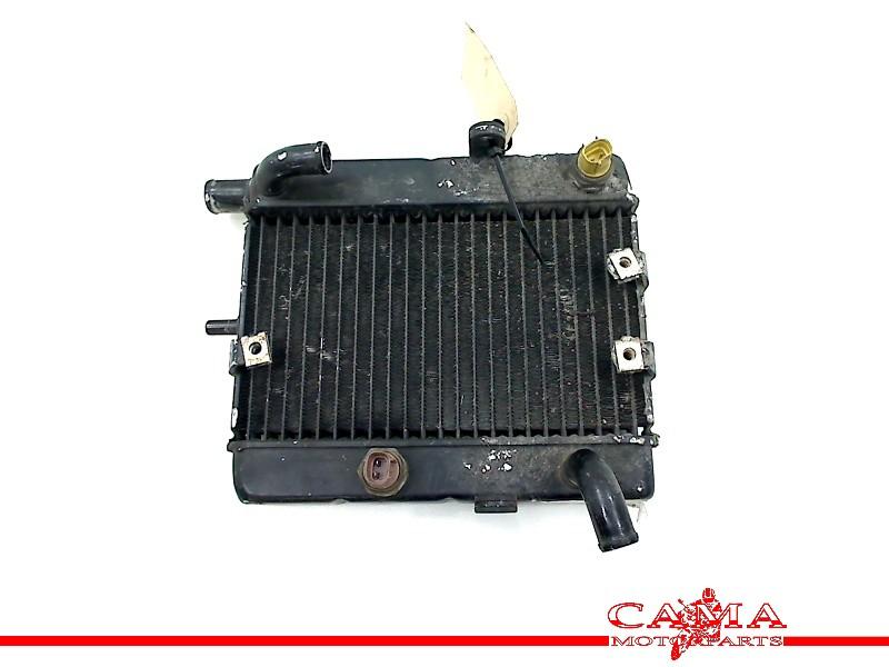 Radiateur Yamaha YP 250 MAJESTY 2001-2006 (YP250 5GM), Yamaha Motor Europe N.V., Gebruikt, Customersupport@yamaha-motor.co.uk