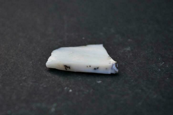 Dendriet Opaal (nr. 13 ), Nieuw, Ophalen of Verzenden, Nvt, Nvt