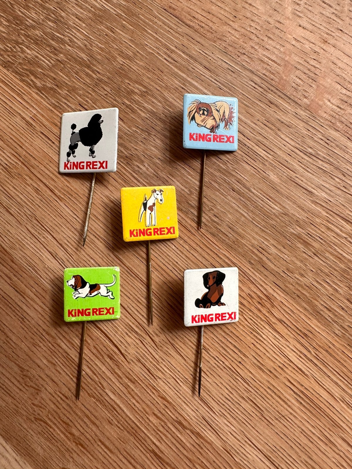 Vijf vintage King Rexi speldjes met honden, Ophalen of Verzenden, Gebruikt, Overige onderwerpen, Speldje of Pin