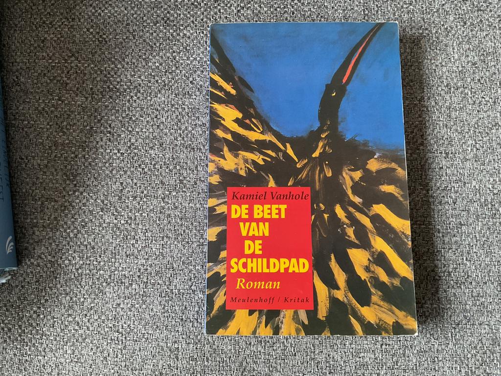 kamiel Vanhole: de beet van de schildpad, Boeken, Ophalen of Verzenden, Zo goed als nieuw, Nederland