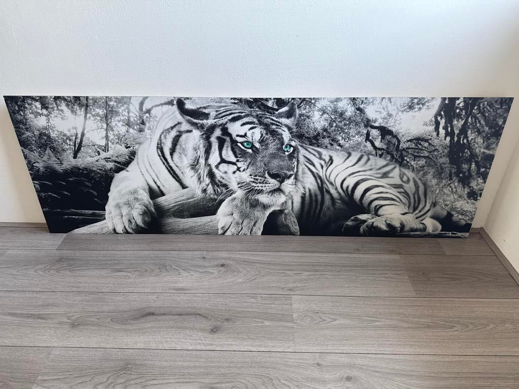 Canvas schilderij tijger met blauwe ogen, Ophalen, 125 cm of meer, Zo goed als nieuw, Schilderij