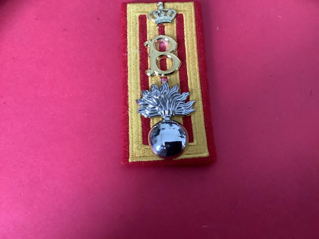 Van de Garde Grenadiers functie waren verbonden Koningshuis, Verzamelen, Ophalen of Verzenden, Landmacht, Nederland, Embleem of Badge