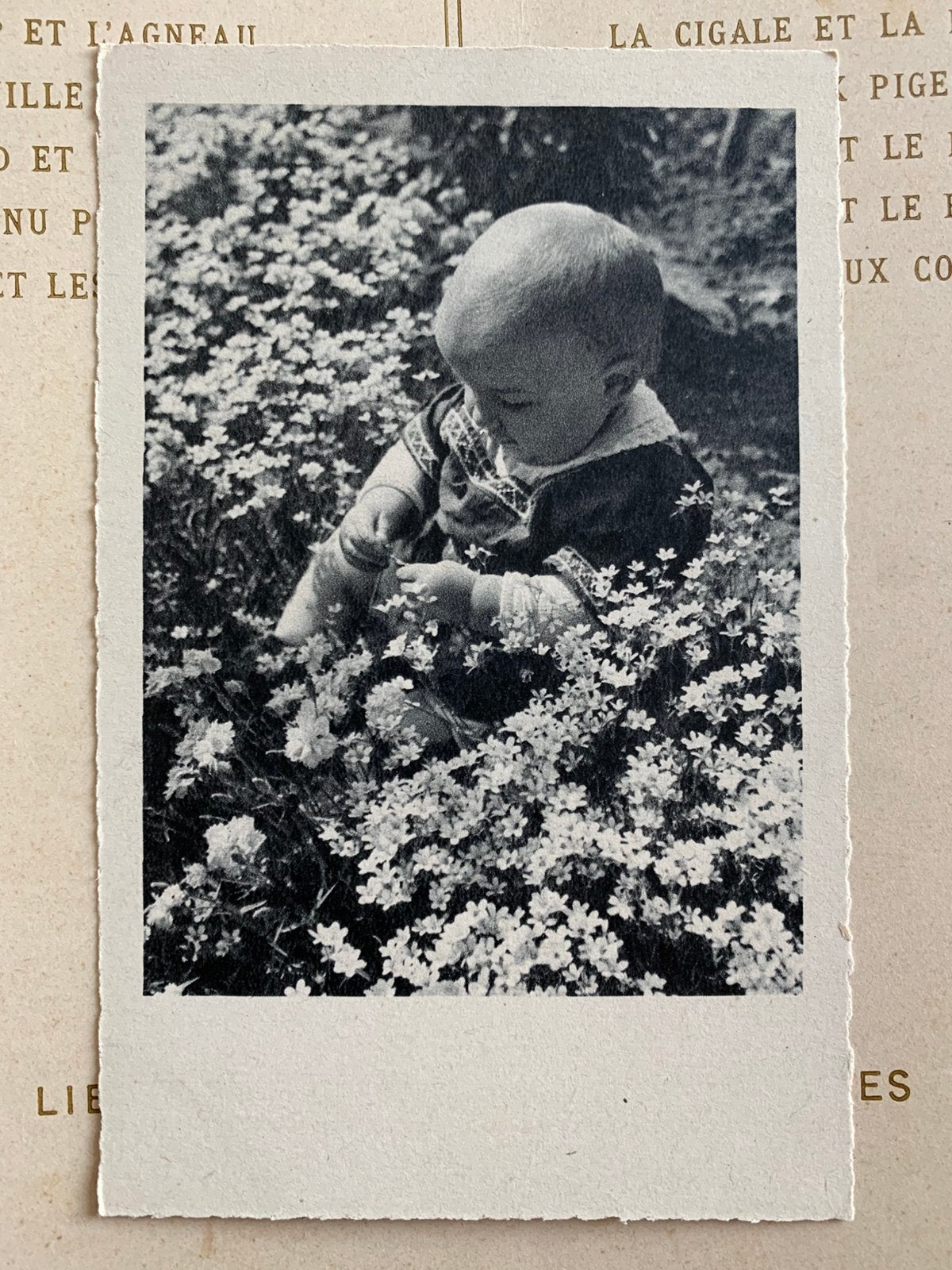 Kindje, baby tussen de bloemetjes (DD), Verzamelen, Ansichtkaarten | Themakaarten, Ophalen of Verzenden, 1920 tot 1940, Ongelopen