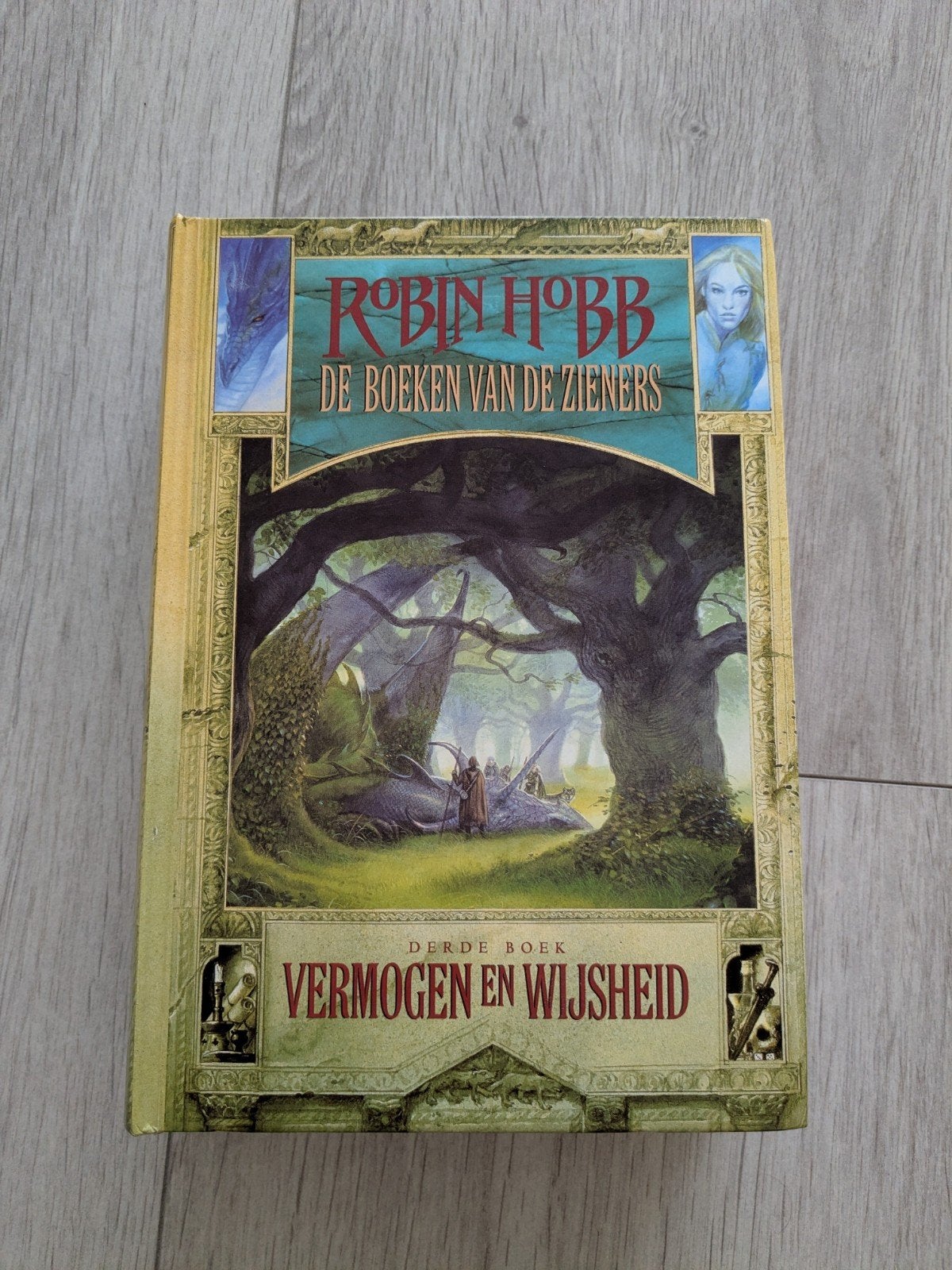 Robin Hobb - 3 Vermogen en wijsheid, Boeken, Ophalen of Verzenden, Zo goed als nieuw, Robin Hobb