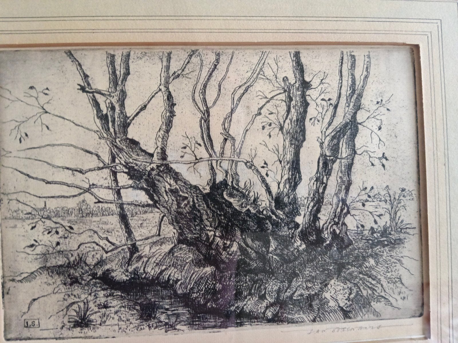 prachtige originele Ets uit de zestiger jaren !, Ophalen, 29 cm, Gesigneerd, Landschap