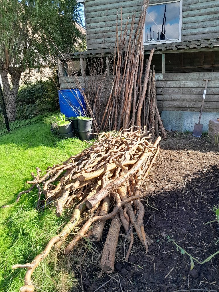 gratis haardhout, Minder dan 3 m³, Ophalen, Overige houtsoorten, Takken