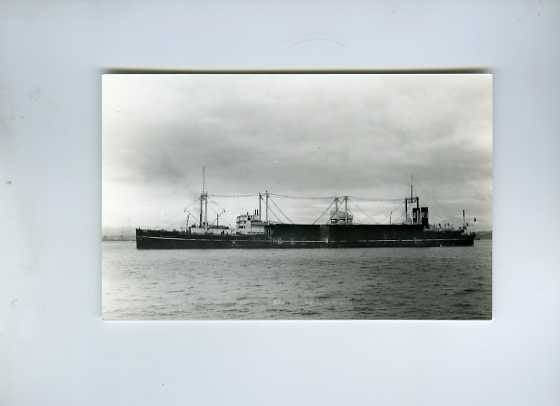 scheepvaart-foto-walvisvaartmoederschip-ole wegger 1914, Verzamelen, Scheepvaart, Ophalen of Verzenden, Zo goed als nieuw, Motorboot