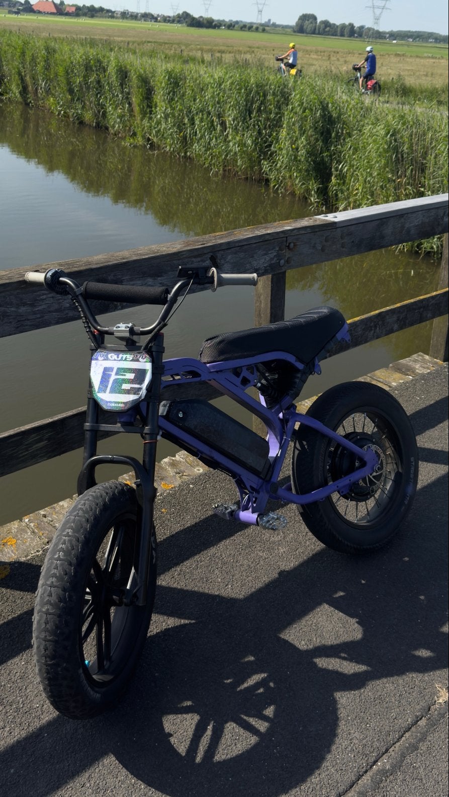 Custom paarse v20 3000watt (3kw), Nieuw, 59 cm of meer, 50 km per accu of meer, Ophalen