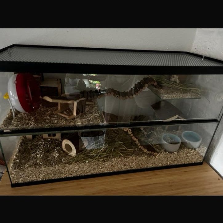 Terrarium/hamsterverblijf, Dieren en Toebehoren, Overige typen, Zo goed als nieuw, 75 tot 110 cm, Ophalen