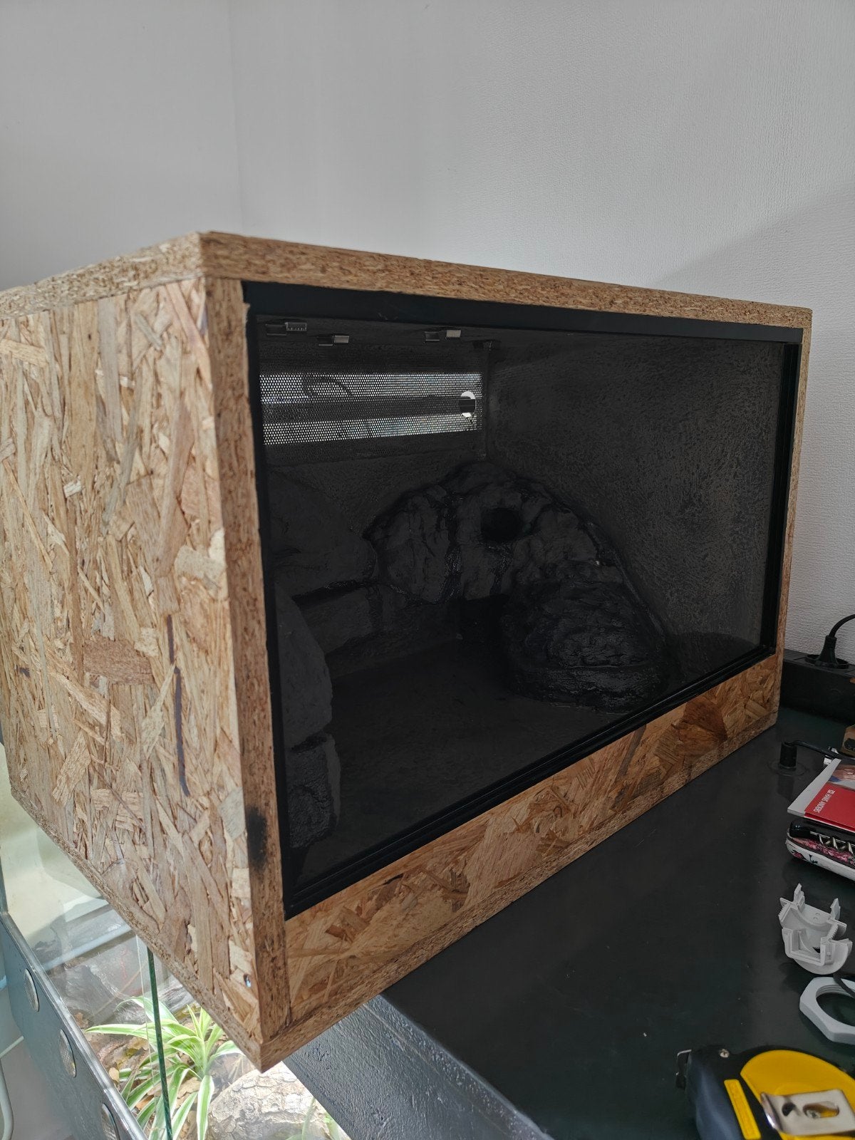 Terrarium 60x40x40 Nieuw, Dieren en Toebehoren, Ophalen, Nieuw, Terrarium of Paludarium