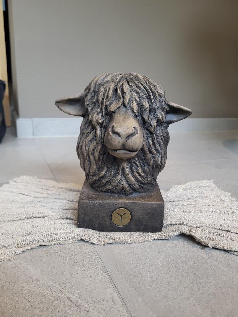 Brynxz schaap, Ophalen, Zo goed als nieuw, Bruin, Landelijk