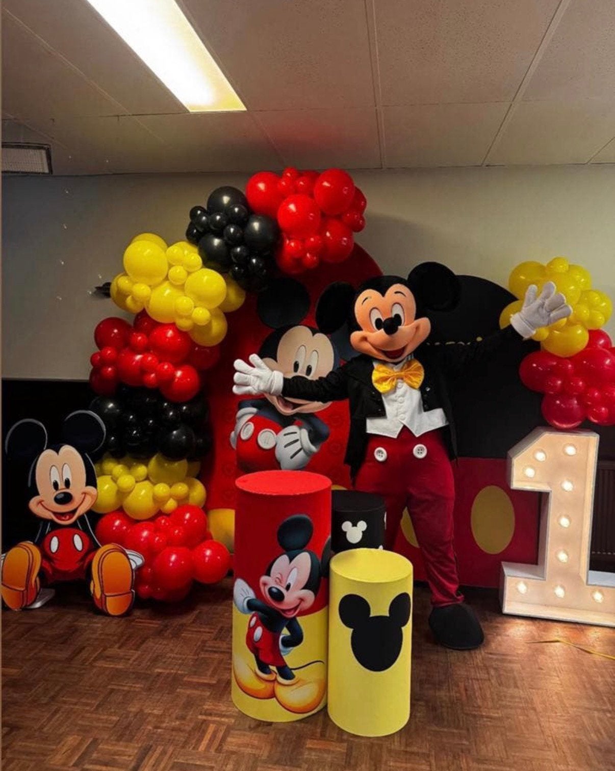 Mickey Mouse mascotte te boek‼️, Ophalen, Zo goed als nieuw