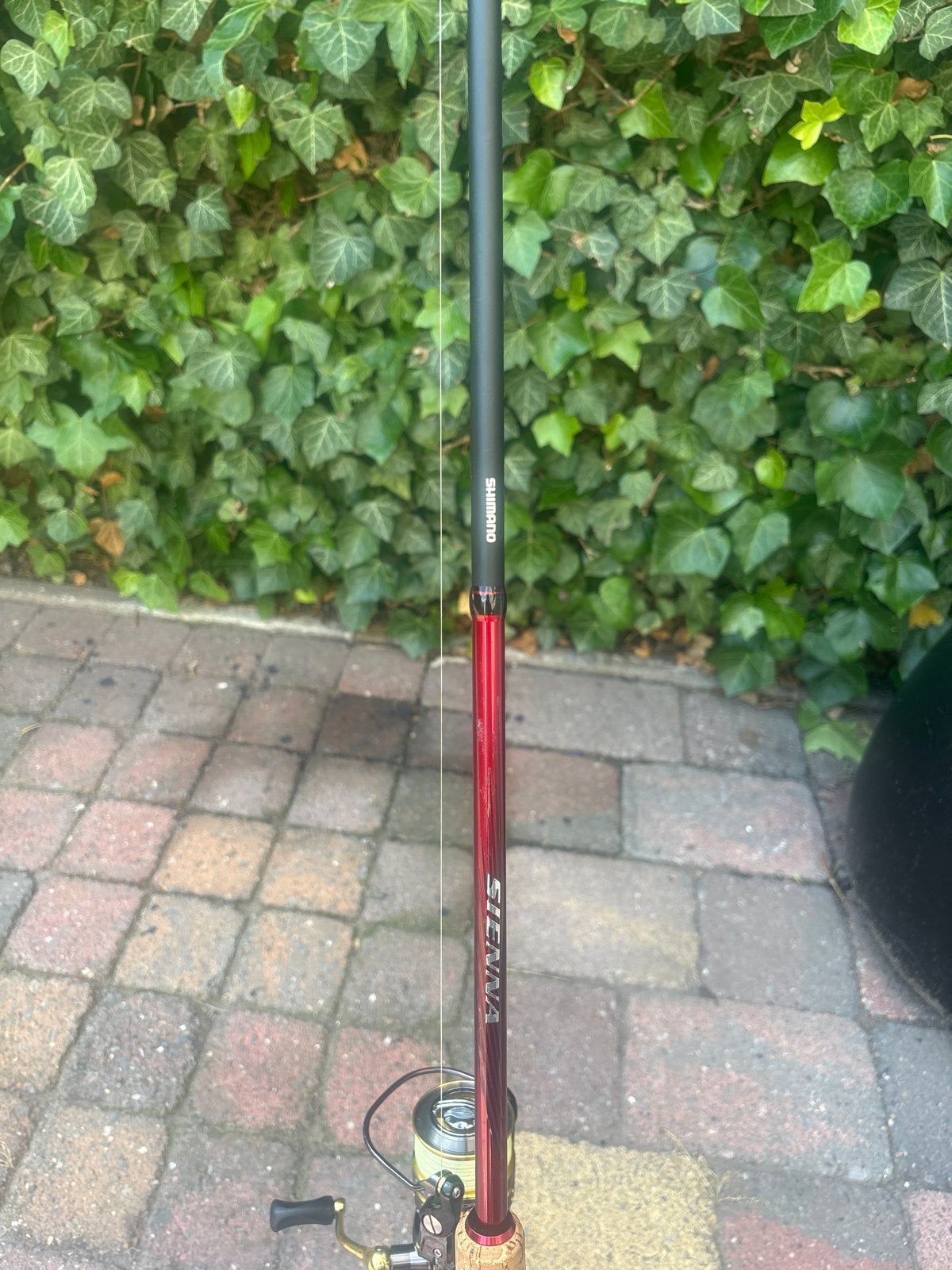 Shimano Siena hengel met Abu Garcia molen 2500, Watersport en Boten, Ophalen of Verzenden, Gebruikt, Complete hengel