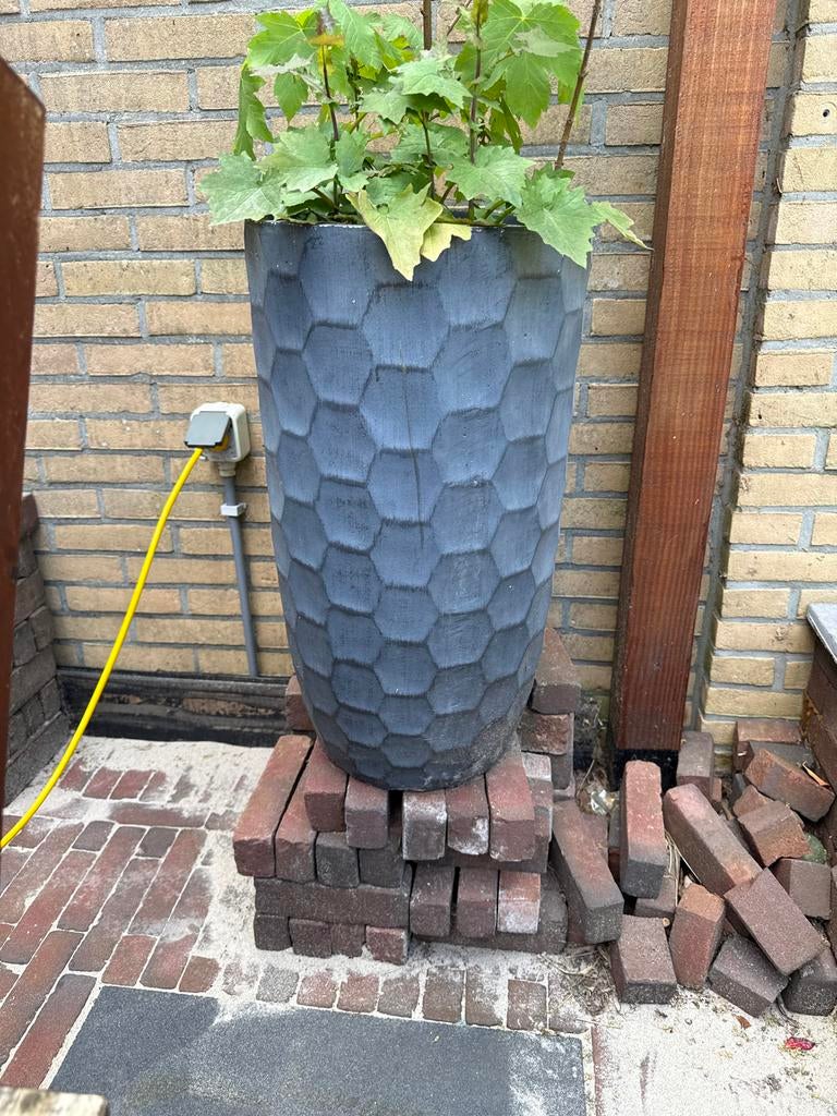 Gebruikte plantenbak met honingraatpatroon, 137 cm hoog, Tuin en Terras, Bloembakken en Plantenbakken, Ophalen, Gebruikt, Minder dan 60 cm