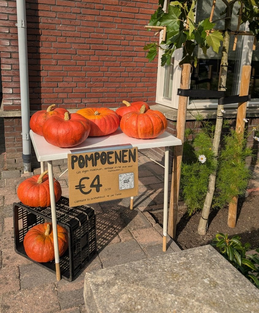 Pompoenen uit eigen moestuin, Ophalen